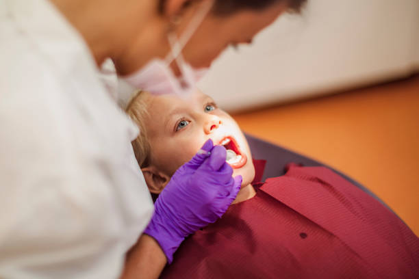 Best Emergency Dental Care for Broken or Chipped Teeth in Dland, MI